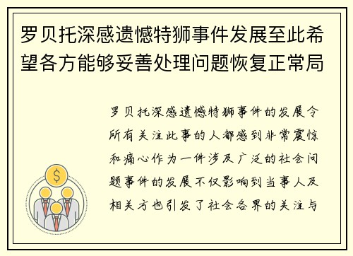 罗贝托深感遗憾特狮事件发展至此希望各方能够妥善处理问题恢复正常局面
